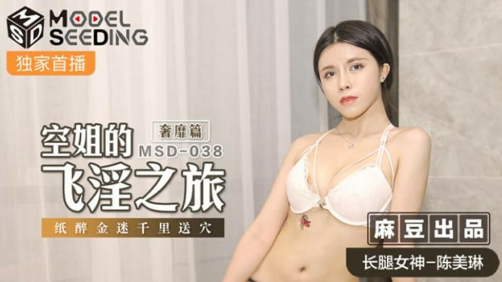 麻豆空姐陈美琳奢靡淫旅:纸醉金迷千里送穴极致高潮